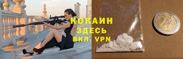 хмурый Дмитров