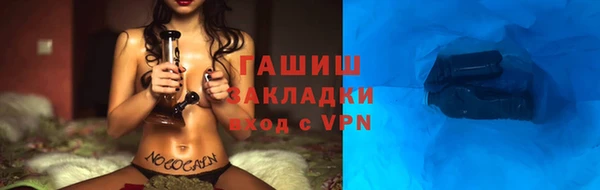 тгк Дмитриев