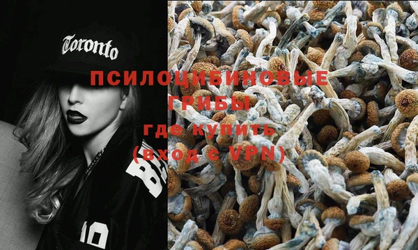 прущий лед Ельня