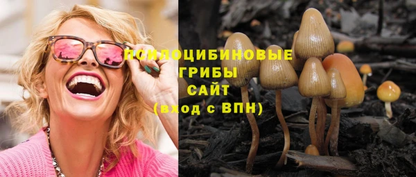 тгк Дмитриев
